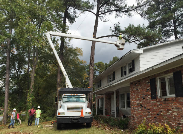 Soil Testing and Treatment in Welcome, NC